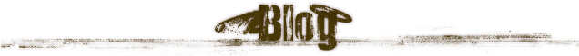 blog